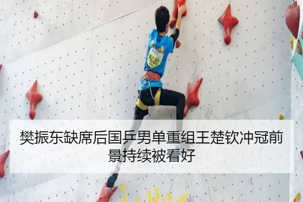 樊振东缺席后国乒男单重组王楚钦冲冠前景持续被看好